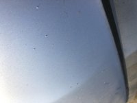 IMG_2607.jpg