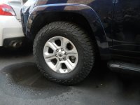 DSCN5465.jpg