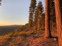 IMG_5485.jpg