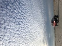 IMG_2896.jpg