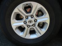 DSCN5362.jpg