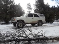 Patches snow 3.jpg