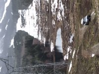 52DEBDFB-7C87-4009-81DE-7F7482BA8ED5.jpeg