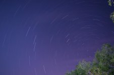DSC_0376.jpg