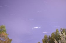 DSC_0370.jpg
