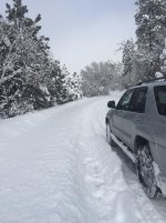 Snow 1.jpg