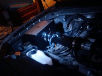 2011-02-22 19.28.26.jpg