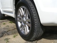 CIMG0010a.jpg