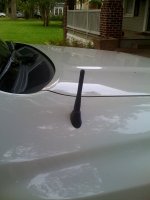 antenna2.jpg