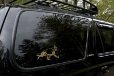 decal.jpg