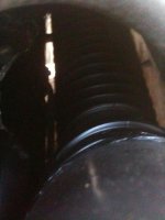 IMG_0979.jpg IMG_0979.jpg