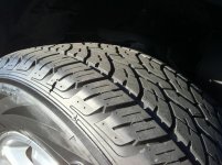 IMG_0178.jpg