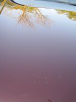 IMG_1081.JPG