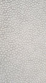 20191021_073140_resized.jpg