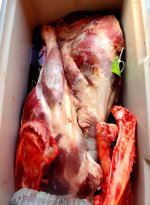thumbnail (72).jpg
