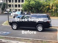 stock height  pic.jpg