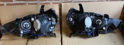 HL pair back.jpg