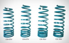 Rear-4Runner-V-Coils.jpg