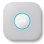 nest.jpg
