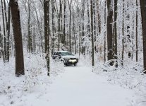 Snow 2.jpg
