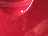 image6.jpeg