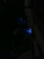 Backseat.jpg