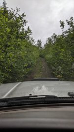 IMG_20190707_162017.jpg