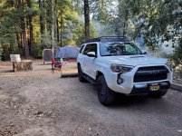 trdpro1.jpg