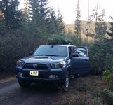 Tree Road.jpg