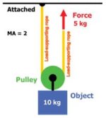 movable pulley.jpg