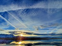 thumbnail (76).jpg