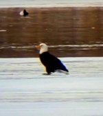 thumbnail (78).jpg