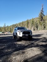 20191102_130005-423x564.jpg