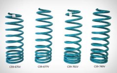 Rear 4Runner V Coils.jpg