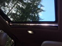 IMG_3213_resized.jpg