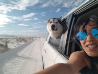 WhiteSands_Roo.jpg