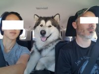threeiscompany2.jpg