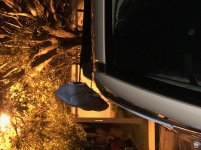 IMG_1904.jpg