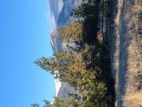 IMG_9822.jpg