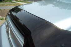 bug shield mod 009.jpg