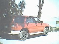 pic9.jpg