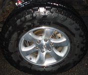 DSC02011.jpg