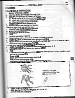 chassis lube page.gif