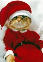 christmasputty.jpg