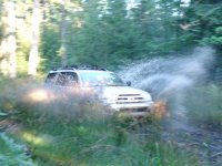 dsc04719b.jpg