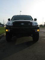 my runner 006.jpg