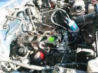 j5.jpg