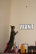 want.jpg