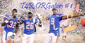 gatorheader.jpg