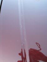 IMG_1080.JPG